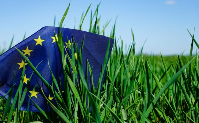 Kraje UE zatwierdziły cel klimatyczny na 2040 r. Emisje gazów cieplarnianych mają spaść o 90 proc., a system ETS2 zostanie opóźniony o rok.