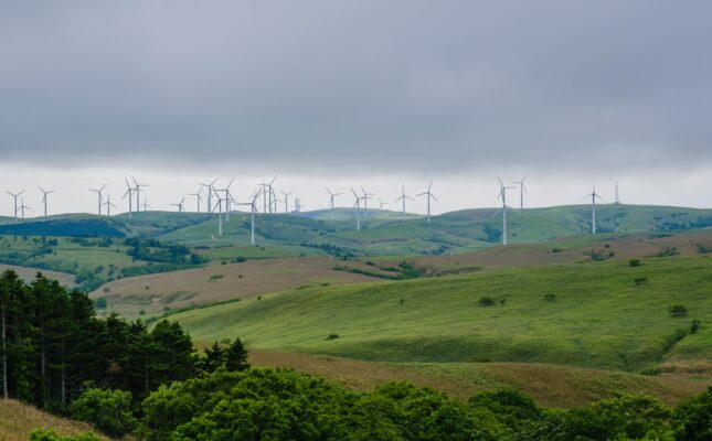 Rynek lądowej energetyki wiatrowej w Polsce może być wart 214 mld zł do 2040 r. Sprawdź, jak sektor onshore wind wpłynie na rozwój polskiego przemysłu i udział rodzimych firm w łańcuchu dostaw.